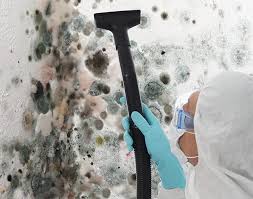 Best Residential Mold Inspection & Testing in Decatur, TX